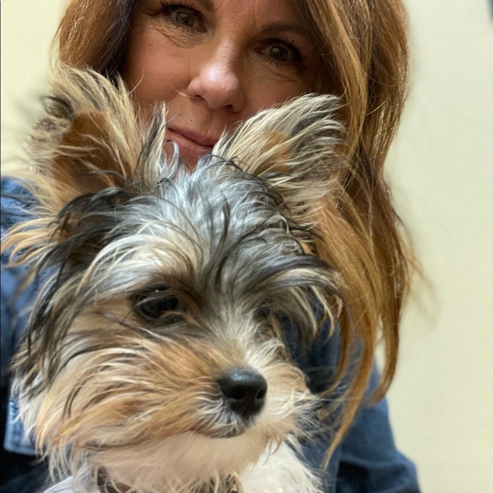 Meet my FUR BABIES!